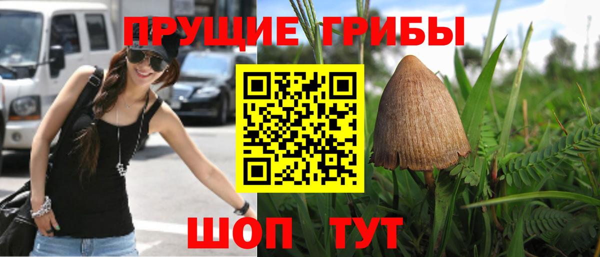 Коломна  Псилоцибиновые грибы Magic Shrooms  Вход с VPN 